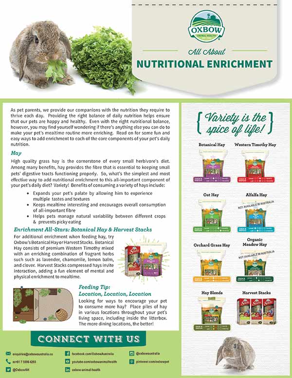 All-About-Nutritional-Enrichment – Specialised Animal Nutrition Pty Ltd